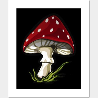 Toadstool mushroom Posters and Art